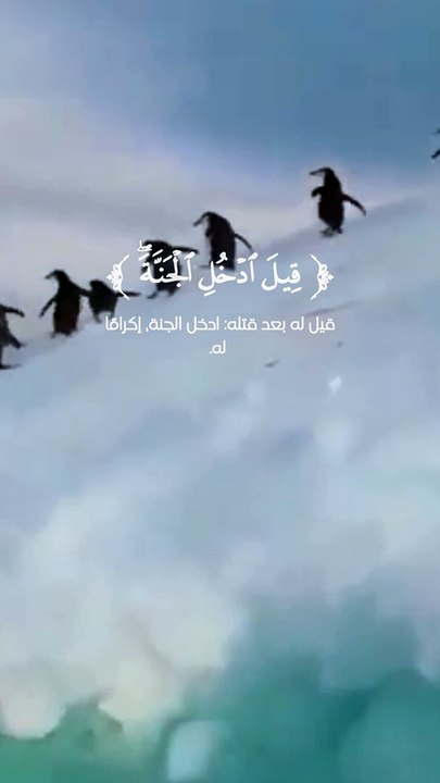 سورة يس