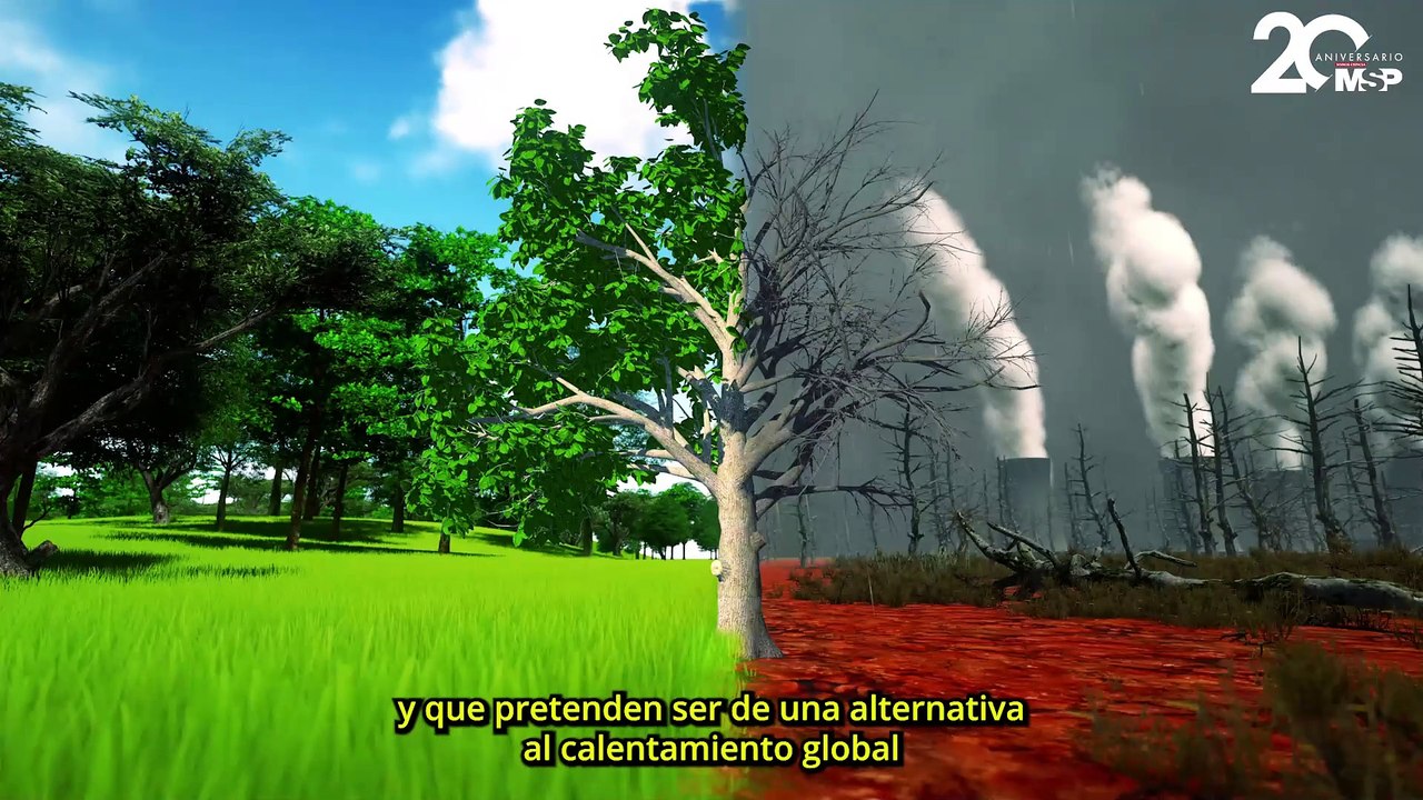 Las 7 mejores iniciativas que revierten el daño ambiental y restauran ecosistemas actualmente - #MSP