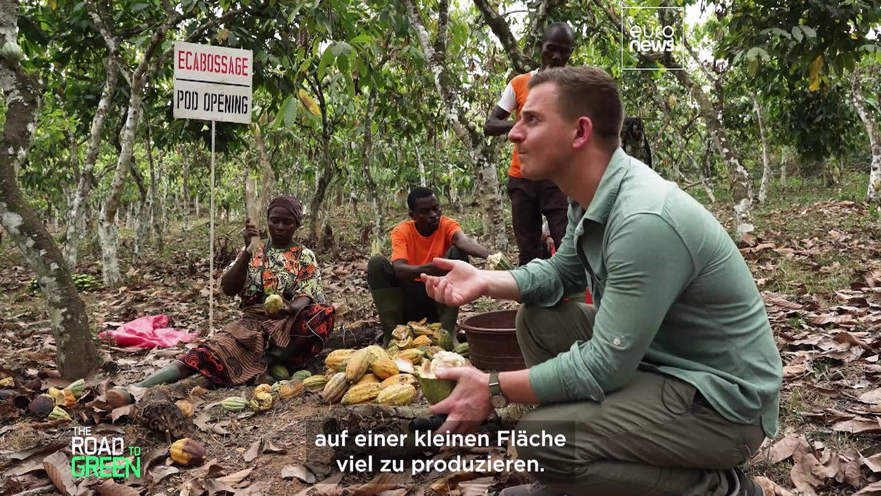 Problem entwaldung: können wir mit gutem gewissen schokolade essen?