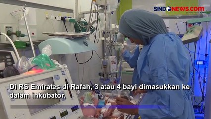 28 Bayi Prematur di Raffah, Gaza Terpaksa Diungsikan ke Mesir
