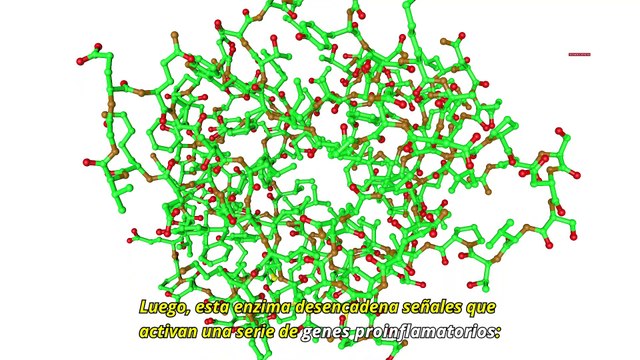 ¿Cómo actúan los medicamentos inhibidores JACK para tratar la dermatitis atópica? - #ExclusivoMSP