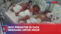 3 Bayi Prematur Harus Berbagi Satu Inkubator karena Kekurangan Pasokan Medis di Gaza