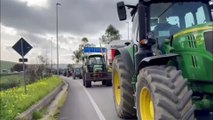 La protesta dei trattori ora contro il grano e i cereali importati dal Canada