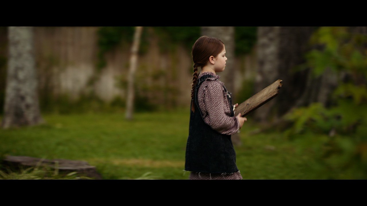 Imaginary Woods Scene