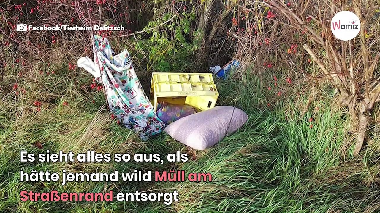Müll in Sachsen wild entsorgt, doch das ist noch das geringste Verbrechen!