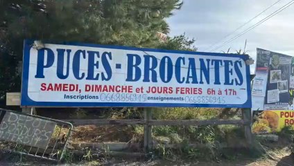 VIDEO - Un dimanche de flânerie aux puces de Marseillan