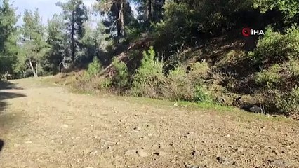 37 yaşındaki posta çalışanı her yerde aranıyor