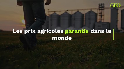 Prix agricoles garantis : les États-Unis et le Canada le font depuis des décennies