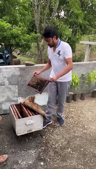Deepshikha Beekeeping