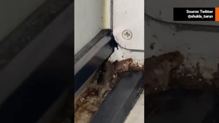 Häiritsevä video: Matkustaja kuvasi torakoita kävelemässä lentokoneen sisällä lennon aikana