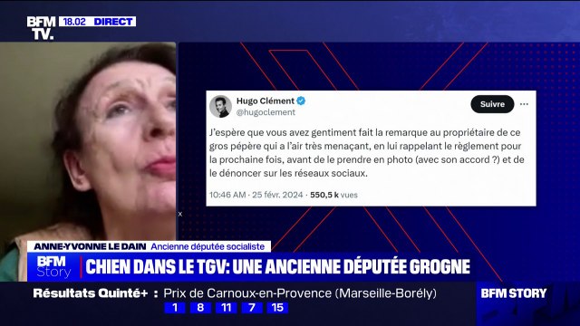 Chien sans muselière dans le TGV: On est en société, et en société on respecte les règles , affirme Anne-Yvonne Le Dain