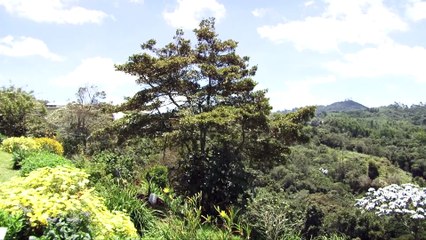 02-03-18 Alcaldia de Medellin pagara a propietarios de predios que abastecen acueductos ubicados en los corregimientos