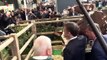 Au Salon de lagriculture, Macron rend visite à la vache Oreillette  AFP Images