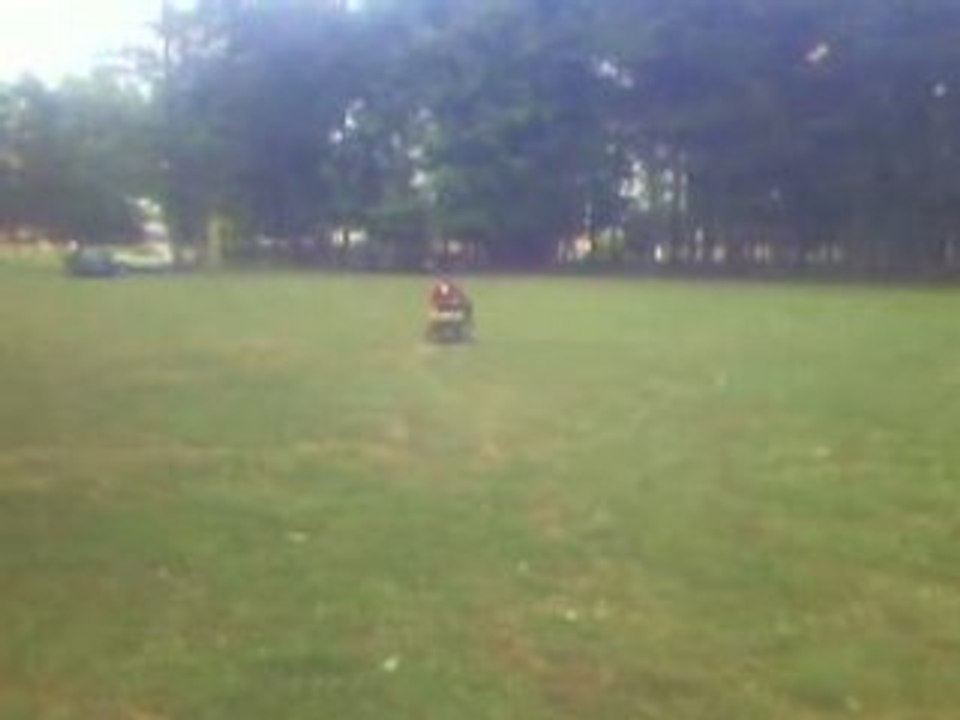 video qui cartonne trotro delire