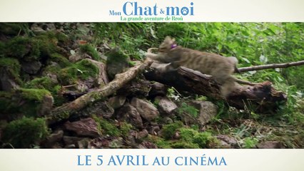 Mon chat et moi, la grande aventure de Rroû Bande-annonce (EN)