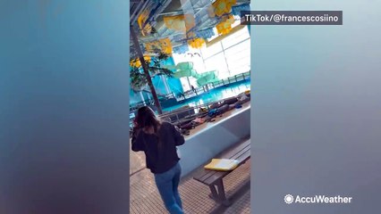 Deer goes for a swim inside Ontario recreation center