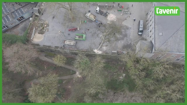 Le square de l'Amicale vidé de ses arbres et un militant arrêté
