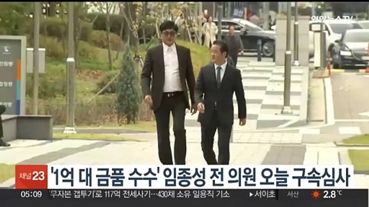 '1억대 금품 수수 혐의' 임종성 전 의원 오늘 구속심사