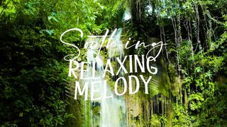 Heavenly Meditation Music - Calm Harmonies for Relaxation, Sleep, Anxiety Reduction