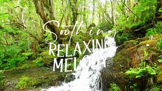 Mellow Relaxation Music - Serene Melodies for Deep Meditation, Stress Reduction, Sleep Aid