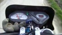 Vid vom Fahren 1