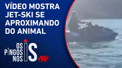 Bolsonaro presta depoimento à PF por ‘importunar’ baleia jubarte