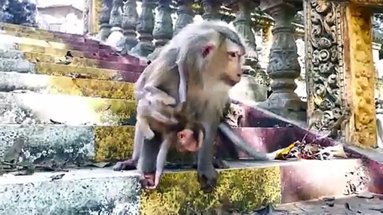Tiny Baby Crying On The Stairs Due To Mommy Lifts Leg Up And Falls Him (720p_25fps_H264-192kbit_AAC)