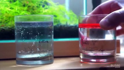 CHEMICAL EXPERIMENTS