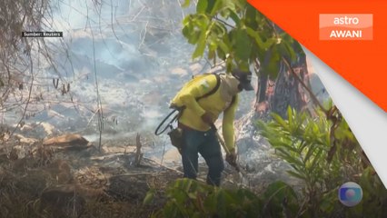 Roraima di Brazil catat peningkatan kebakaran sebanyak 465%