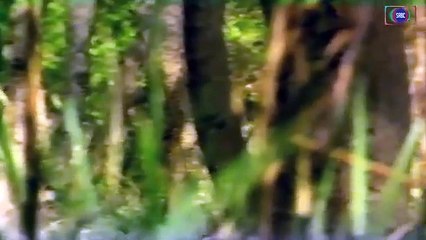 Jangloos PTV Drama - Episode 03