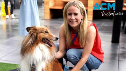 Amazon Australia unveils working dog playground in Sydney office