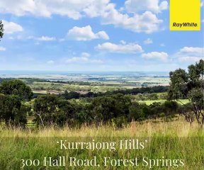 Kurrajong Hills, Forest Springs, Qld | February 28, 2024 | Farmonline
