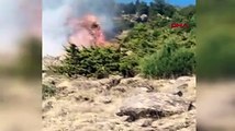 Kayseri'de 3 hektarlık orman alanı yandı