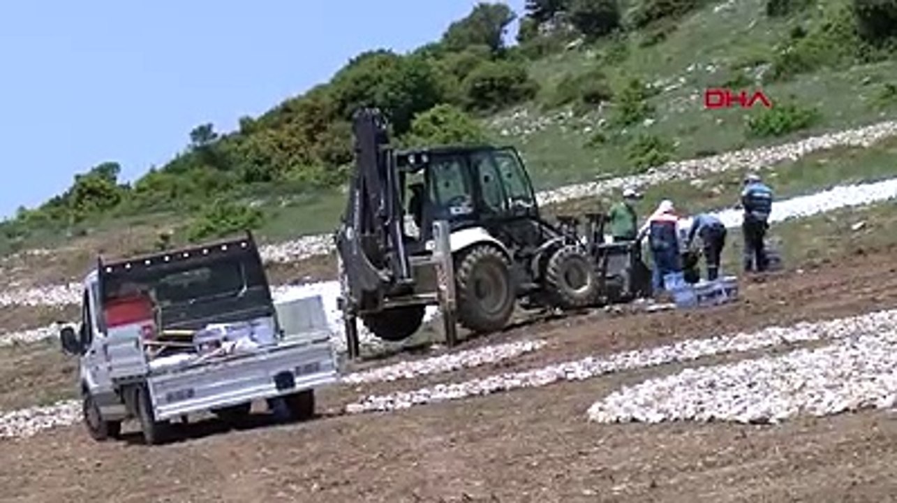 Atatürk'ün dev imzası dağa atıldı