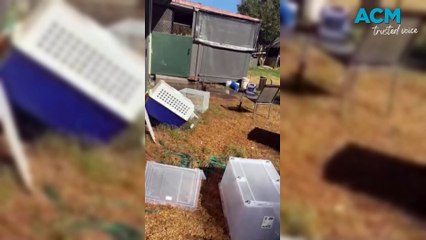 Severe Sewerage Flood Destroys Lavington Home 🚱