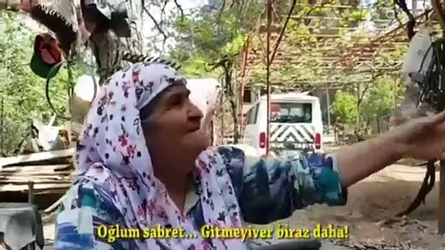 ‘Kaçak tıraş’ mizah konusu oldu, bu video gülmekten kırdı geçirdi