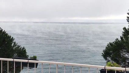 Ege'de sular ısındı neler oluyor. Pencereden bakıp denizin halini gören yazlıkçılar korku halinde