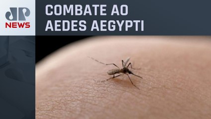 Joinville confirma mais uma morte por dengue