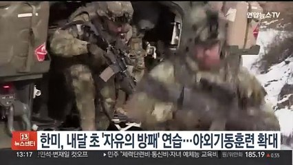 Download Video: 한미, 내달 4∼14일 '자유의 방패' 연습…야외기동훈련 확대