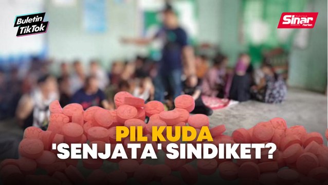 'High' pil kuda sebelum seludup PATI