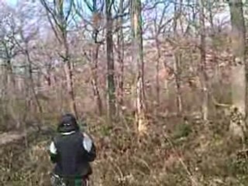 Paint ball 008