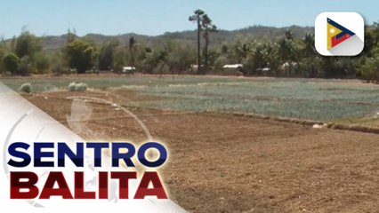 DA, tiniyak ang tulong sa mga magsasakang apektado ng El Niño