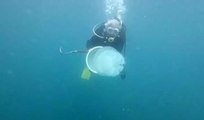 Antalya Körfezi’nde tedirgin eden denizanası artışı