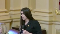Trans Virginia lawmaker storms out of chamber after being called ‘sir’