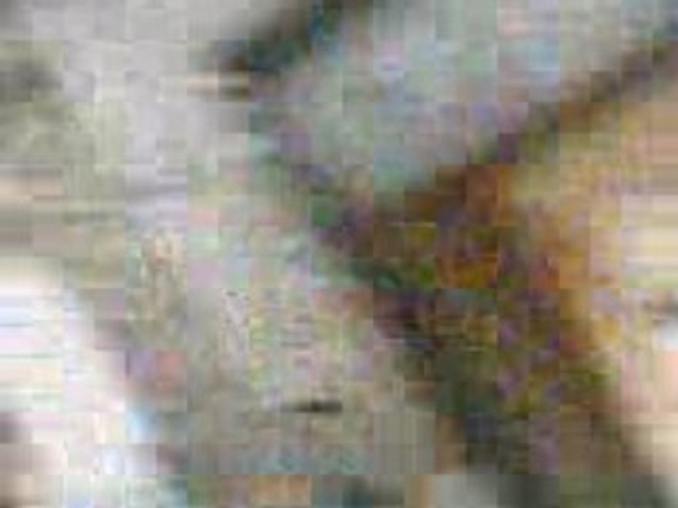 VID008