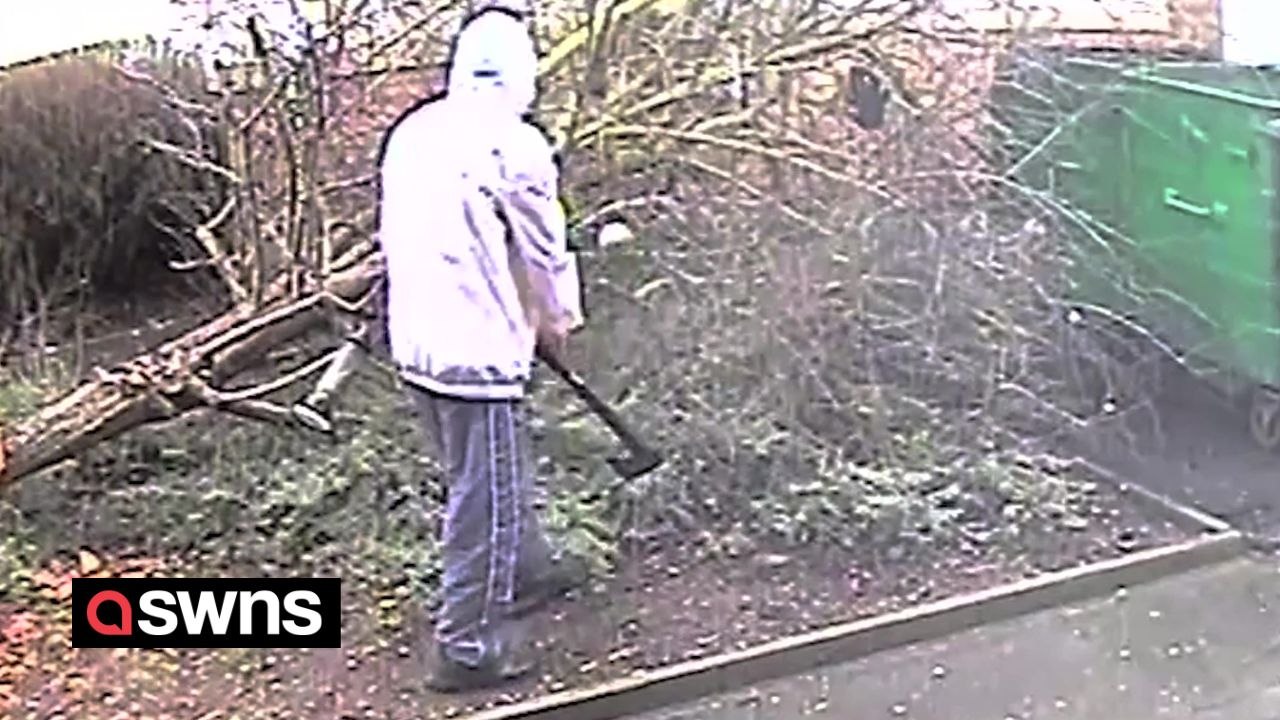 Hooded man with axe chopped down tree in a 'row over birdfeeders' terrified locals claim