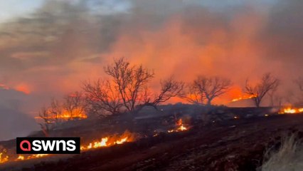 Intense Wildfire Sweeps Through Texas Panhandle 🌾