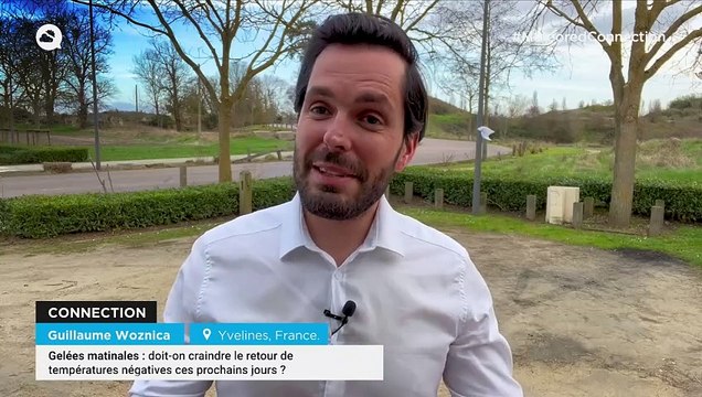 Gelées matinales : doit-on craindre le retour de températures négatives ces prochains jours ?