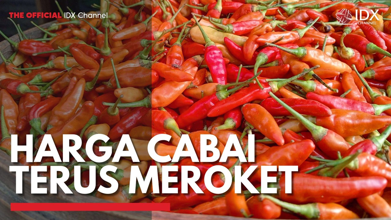 Harga Cabai Terus Meroket