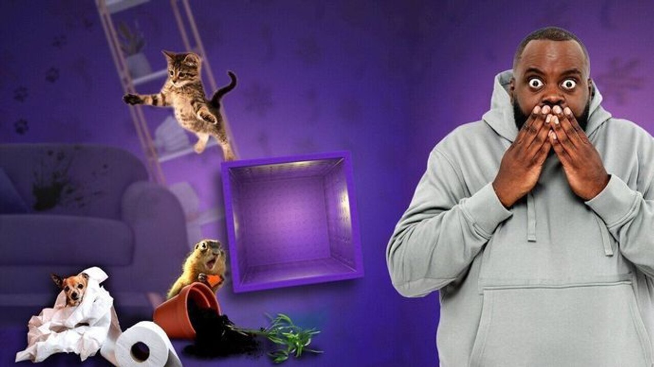 Les 100 vidéos qui ont fait rire le monde entier - Spéciale l'Amérique en folie